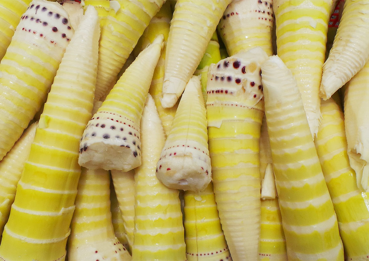 食材资讯